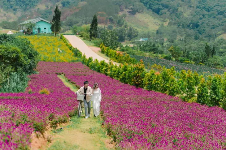 Con đường hoa tại The Florest