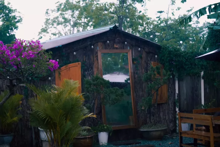 Vuon Hat De Cafe Ngam Mua Da Lat