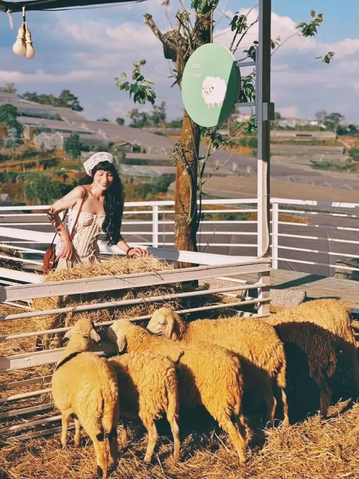 Khu Thu Thung Lung Hong