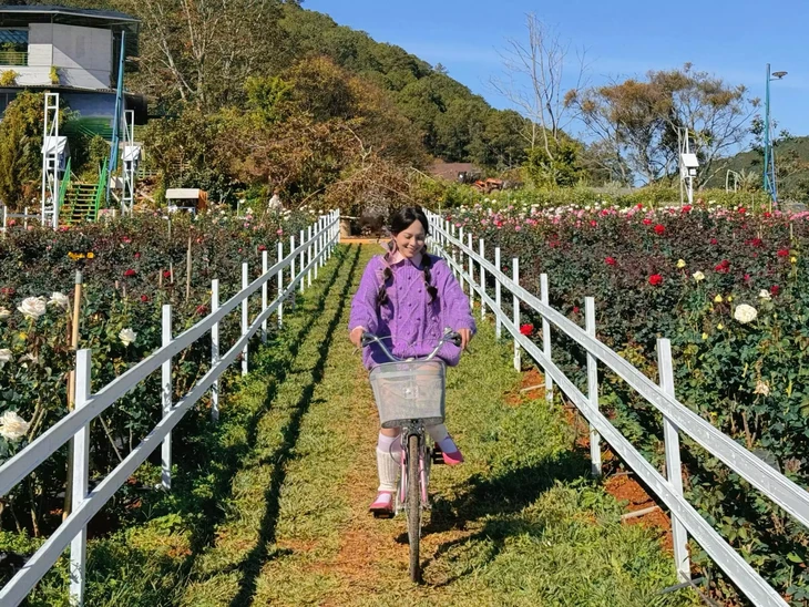 Thung Lung Hoa Hong Da Lat