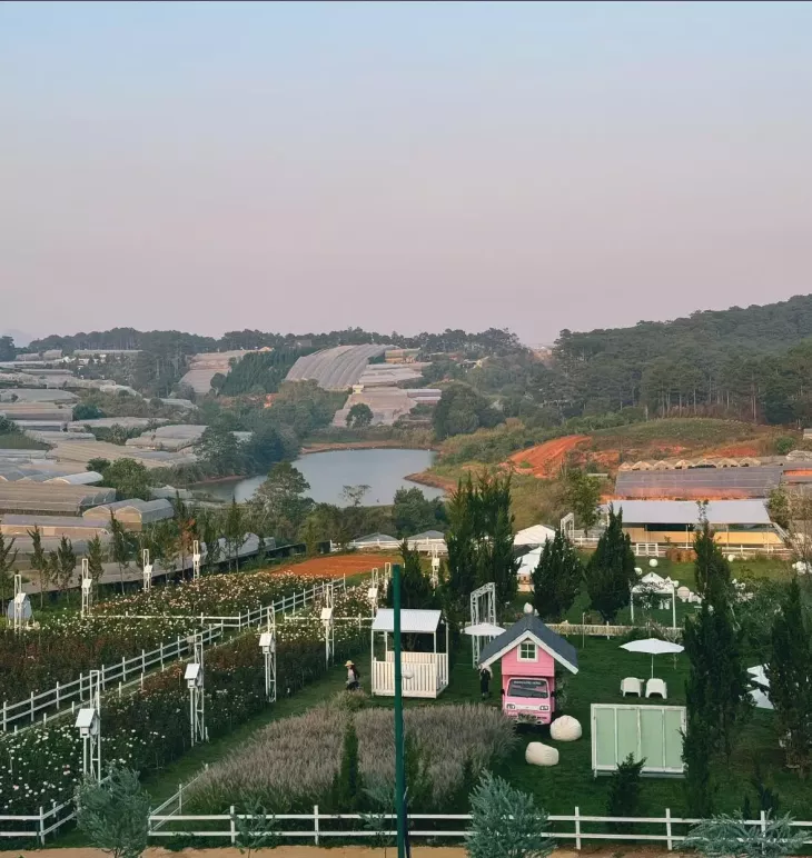 Thung Lung Hong Da Lat