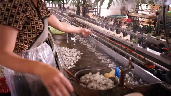 nhà máy dệt tơ tằm