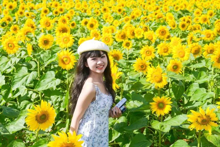 Canh Dong Hoa Huong Duong Da Lat 1