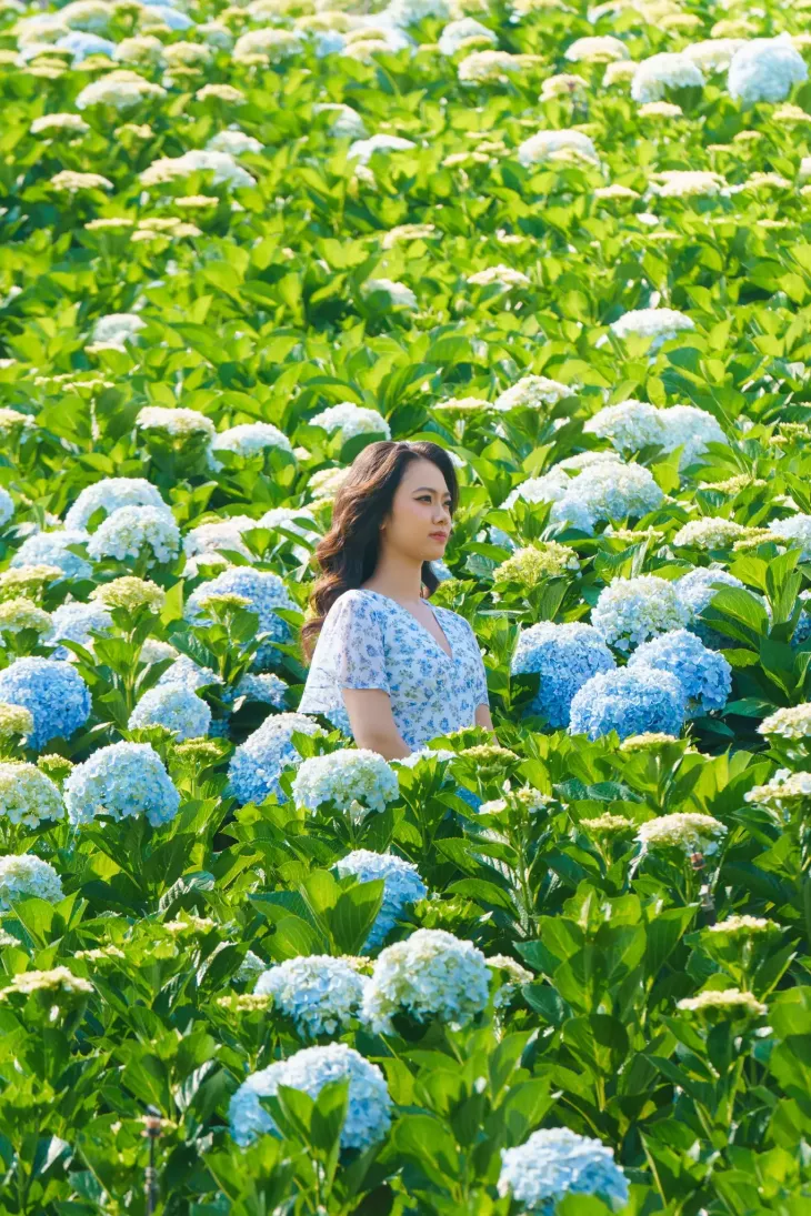 Check In Da Lat Thang 6