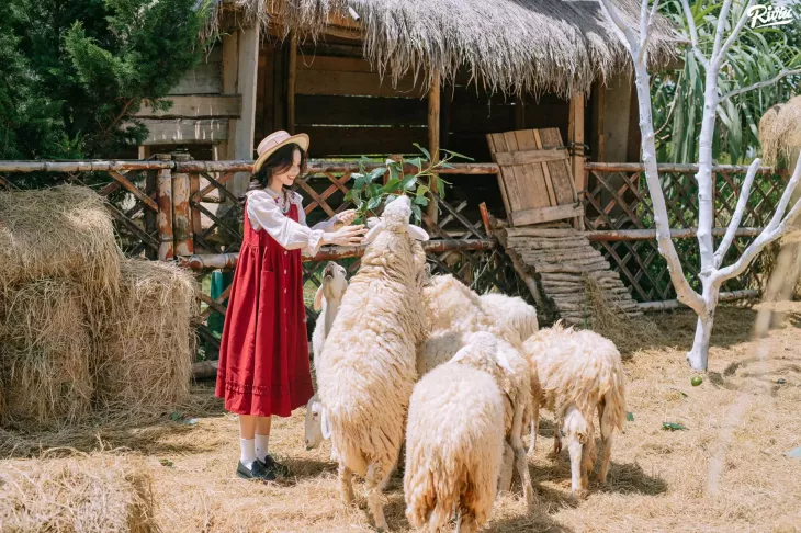 Nong Trai O Thao Nguyen Xanh Da Lat