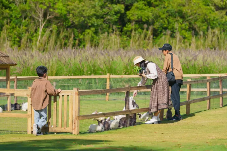 điểm du lịch gần thảo nguyên xanh 4