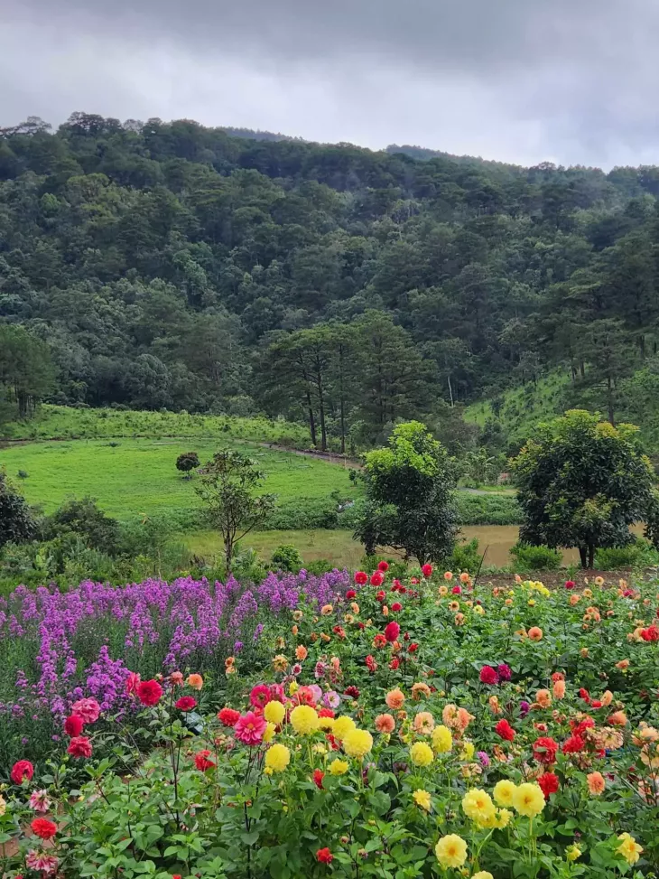điểm du lịch đà lạt