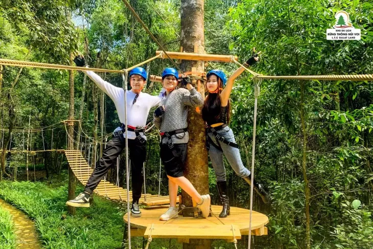 High Rope Khu Du Lich Rung Thong Nui Voi