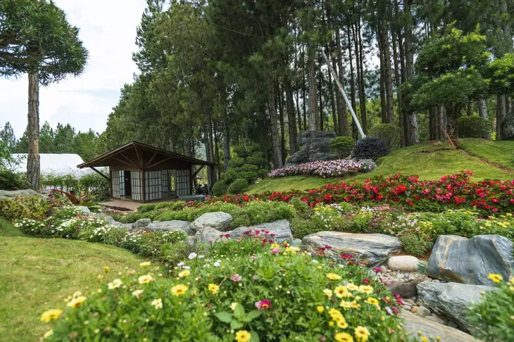 Nha Vuon Nhat Ban Kdl Rung Thong Nui Voi