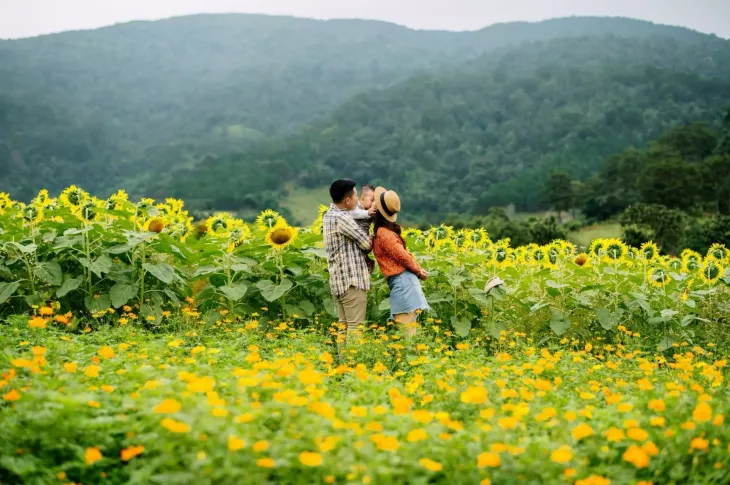 Vuon Hoa Huong Duong The Florest Da Lat