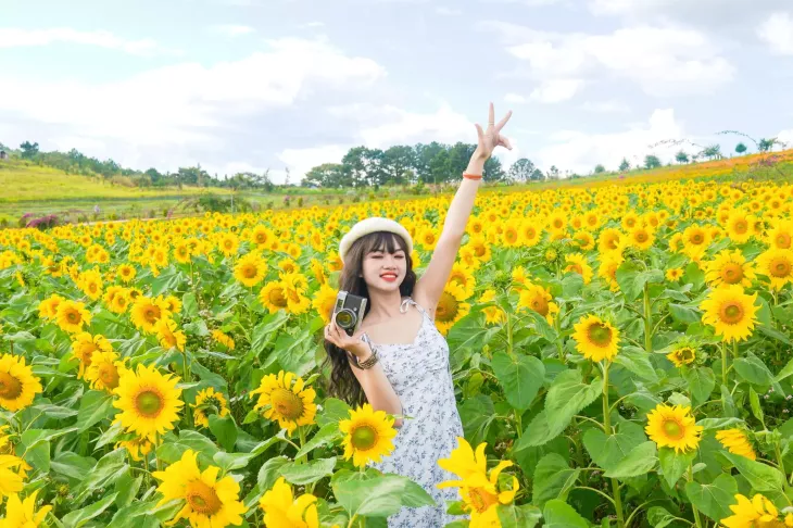 Canh Dong Hoa Huong Duong Da Lat 2