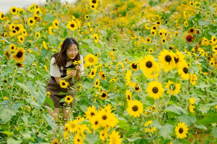 Da Lat mua mua thang 7