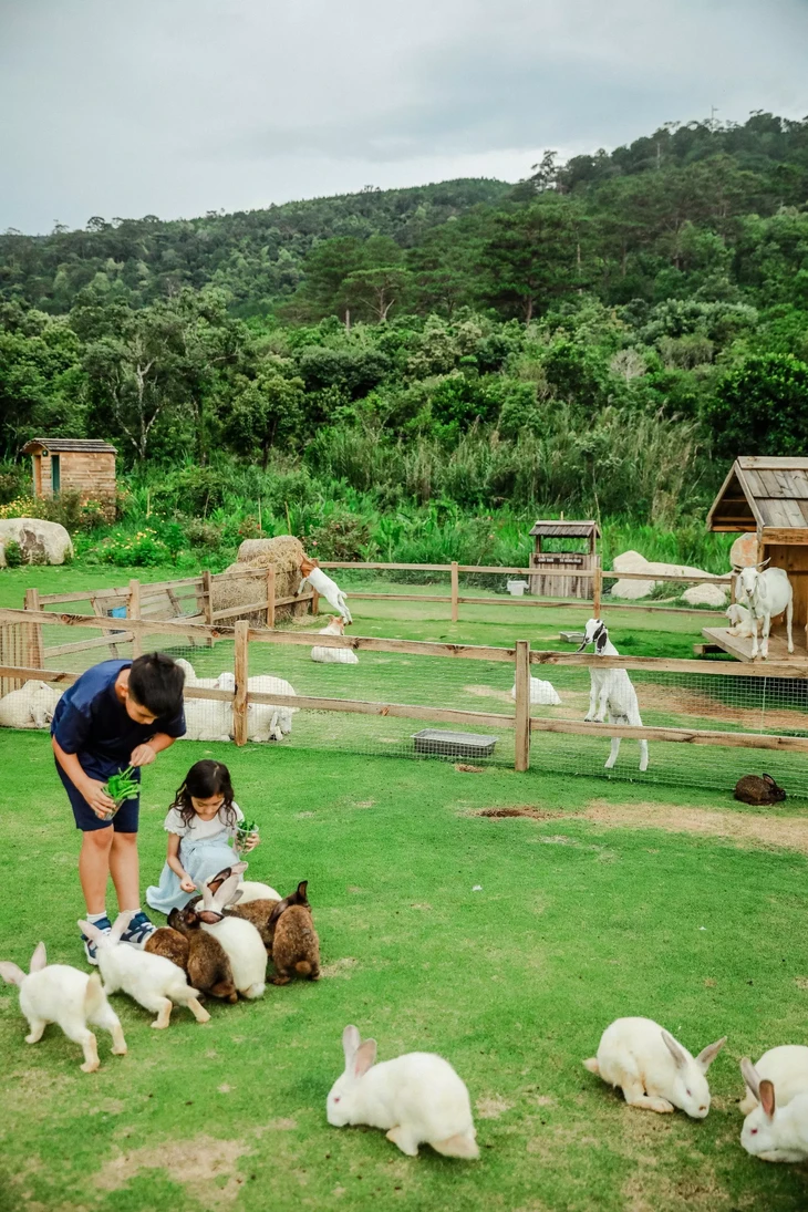 vườn thú Đà Lạt 2