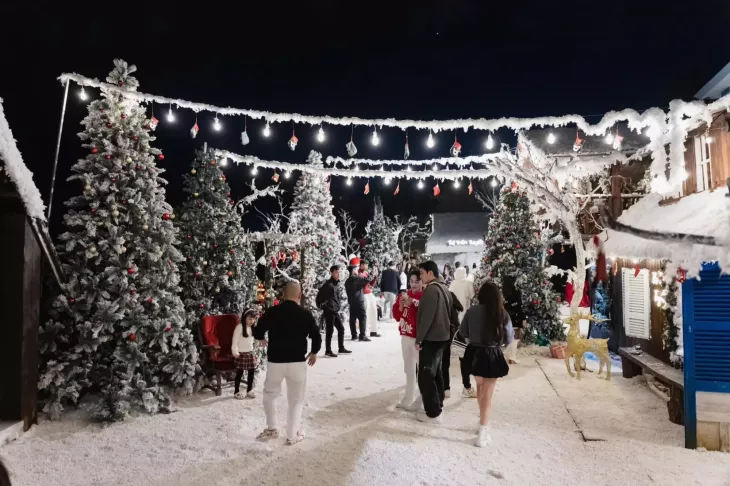 Thi Tran Tuyet Da Lat 2