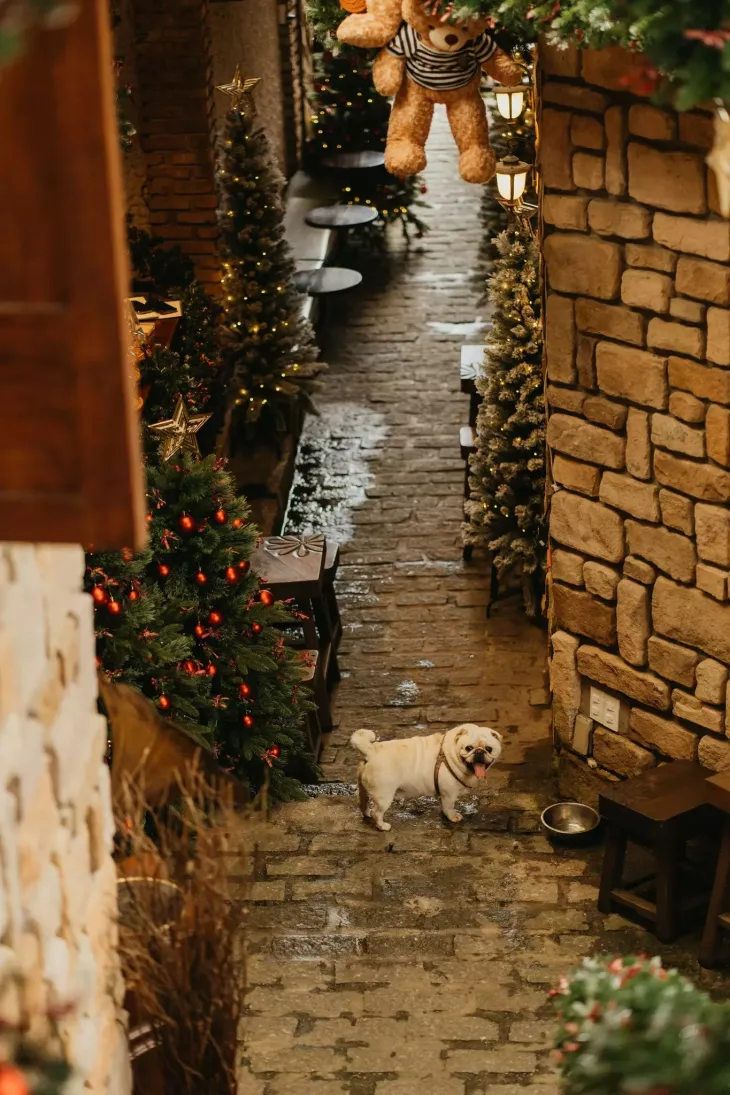 Villa Dhiver Da Lat 8