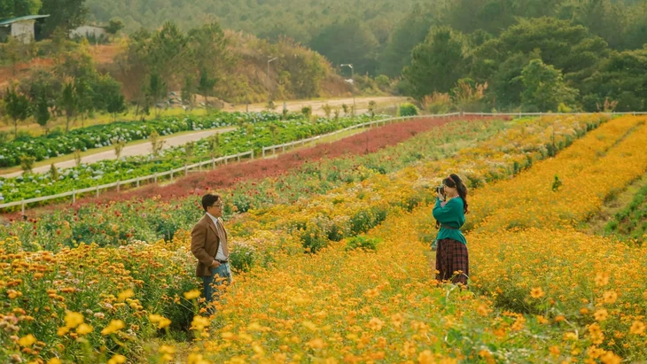 Vuon Hoa Chau Au O Da Lat 10