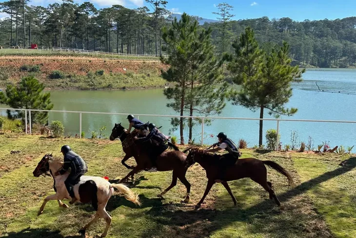 Dua Ngua Khong Yen Da Lat