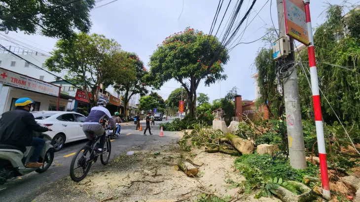 Du An Mo Rong Duong Hoang Van Thu