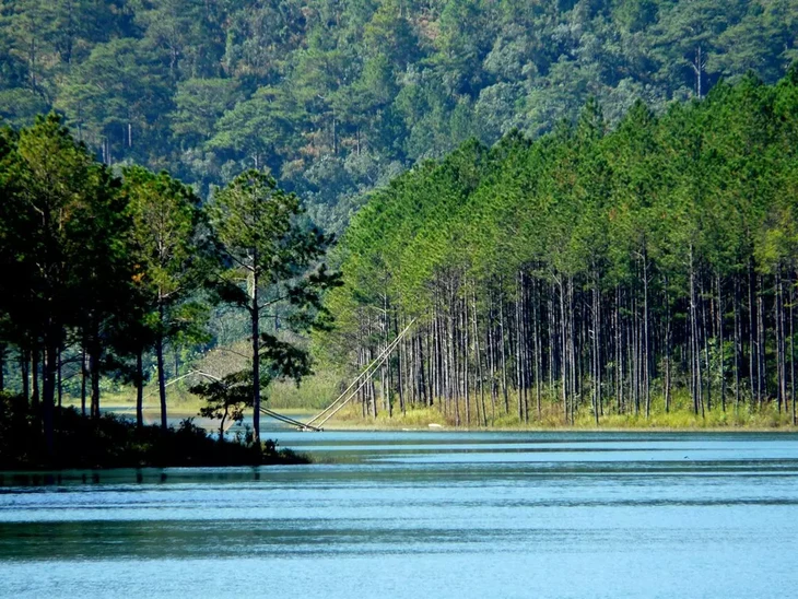 Ho Tuyen Lam